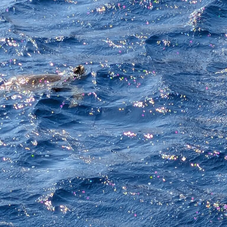 569276837_18181177327352288_5413058735772287787_n