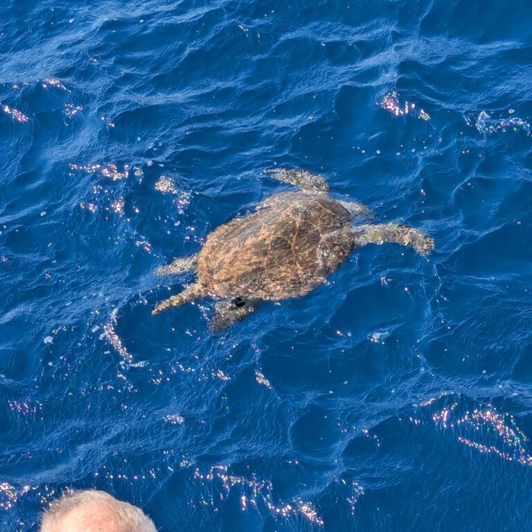 571371700_18181177309352288_549727954098189765_n