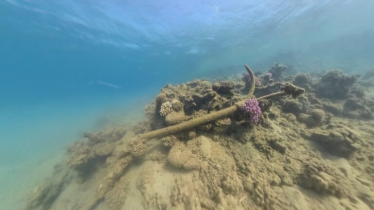 IMG_20251026_103822_00_026.insp