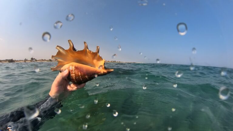 Mörderschencke mit Hotel